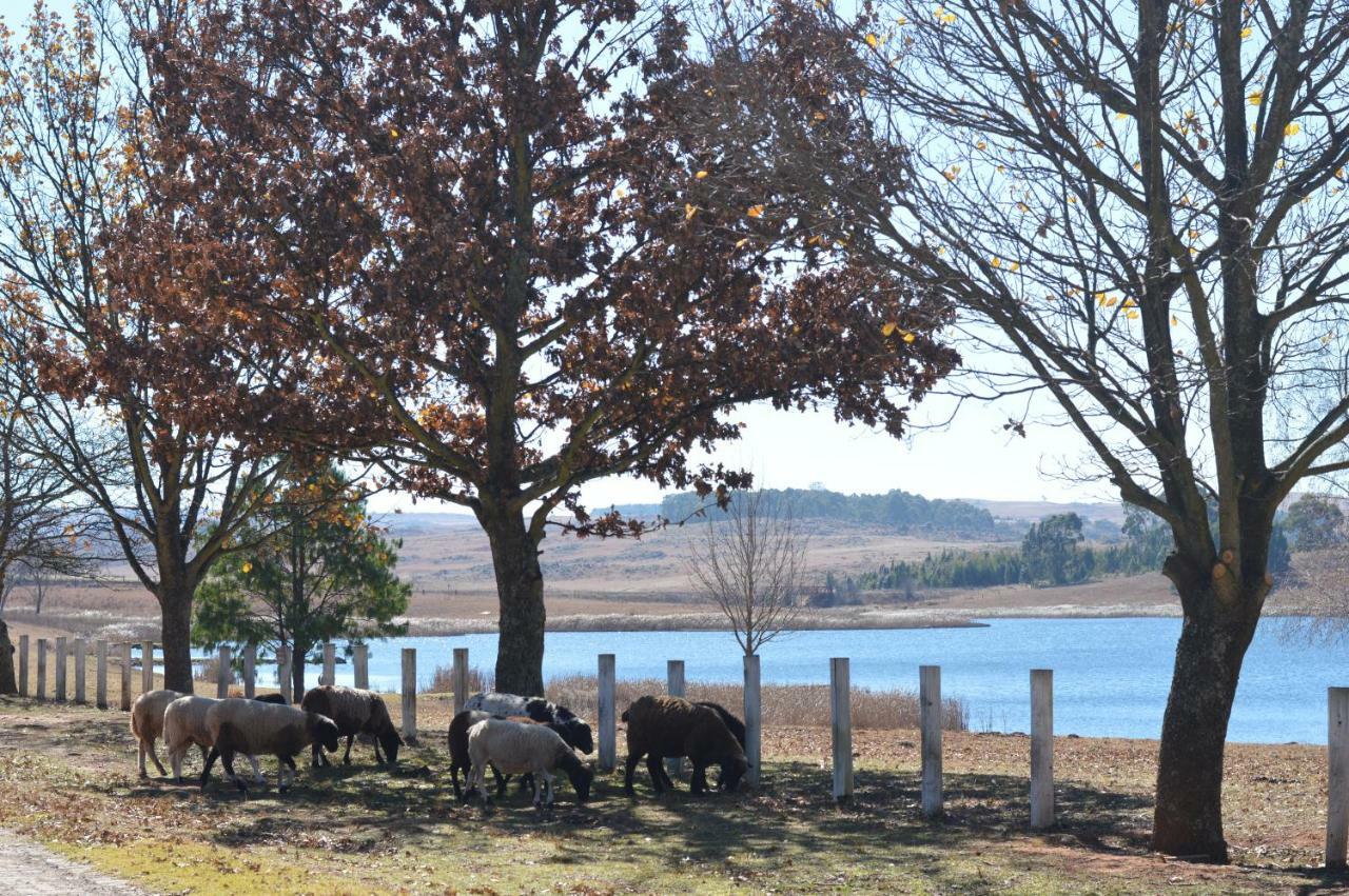 Dullstroom On The Dam Bagian luar foto