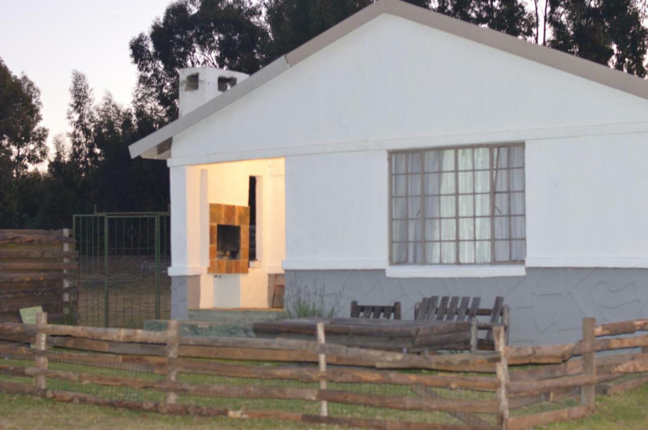 Dullstroom On The Dam Bagian luar foto